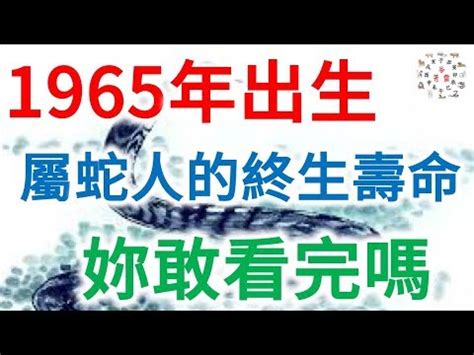 65歲屬什麼 罗盘英文